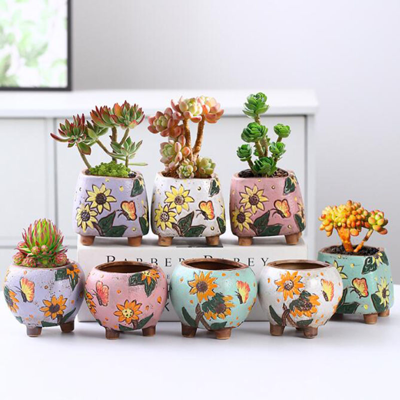 Echeveria Succulent - Korean Style Sunflower Pattern Succulent Plant