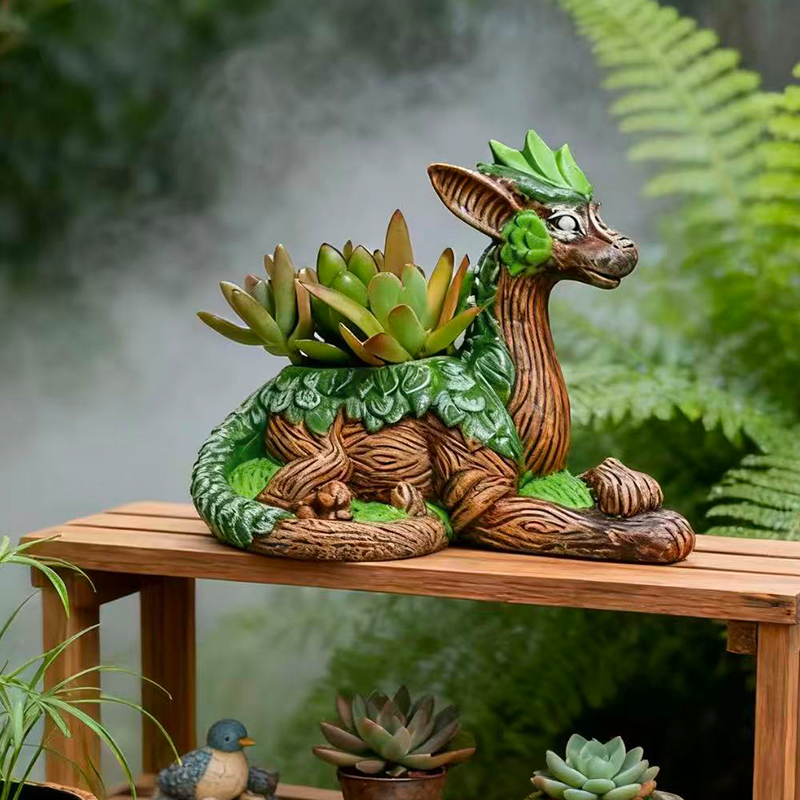 Creative Dragon Tree Flower Po - огляд і ціна Echeveria Succulent