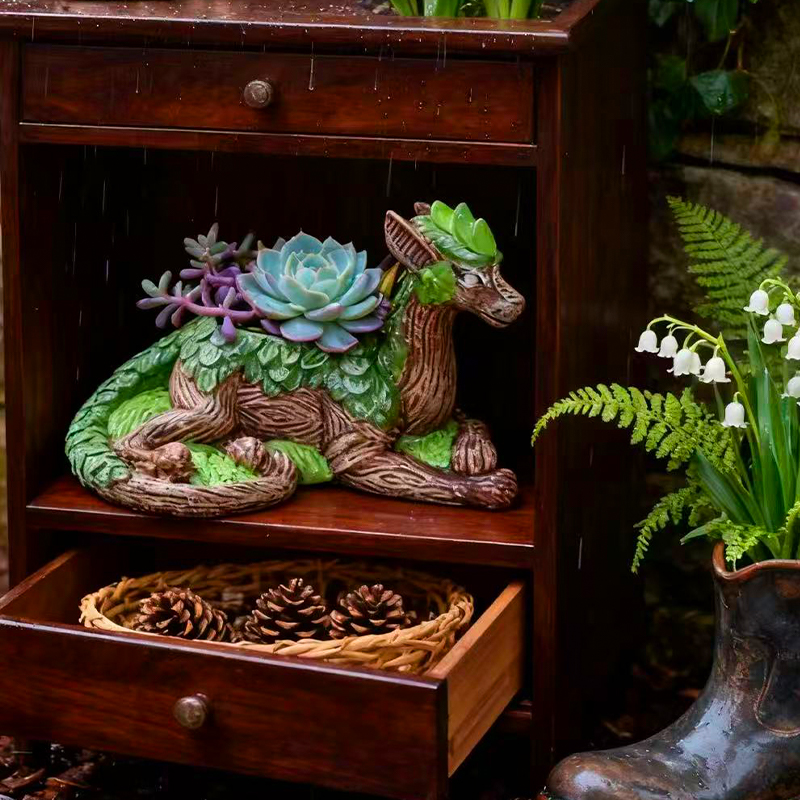 Creative Dragon Tree Flower Po - огляд і ціна Echeveria Succulent