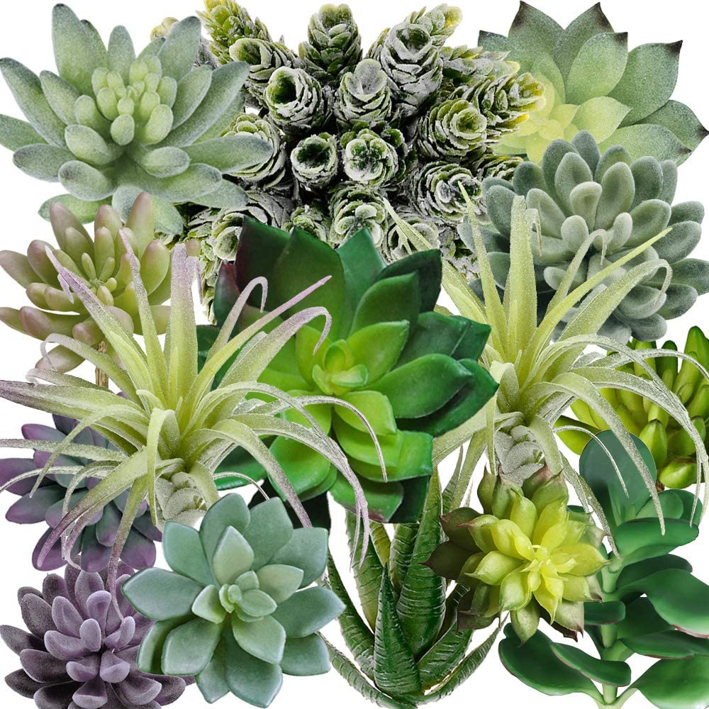 15 Pack Assorted Artificial Su - огляд і ціна Echeveria Succulent