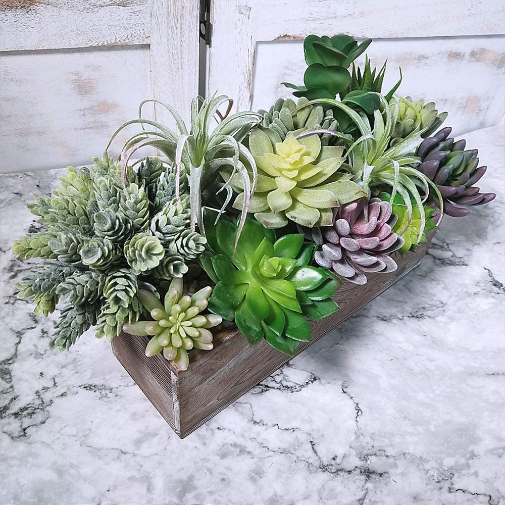 15 Pack Assorted Artificial Su - огляд і ціна Echeveria Succulent