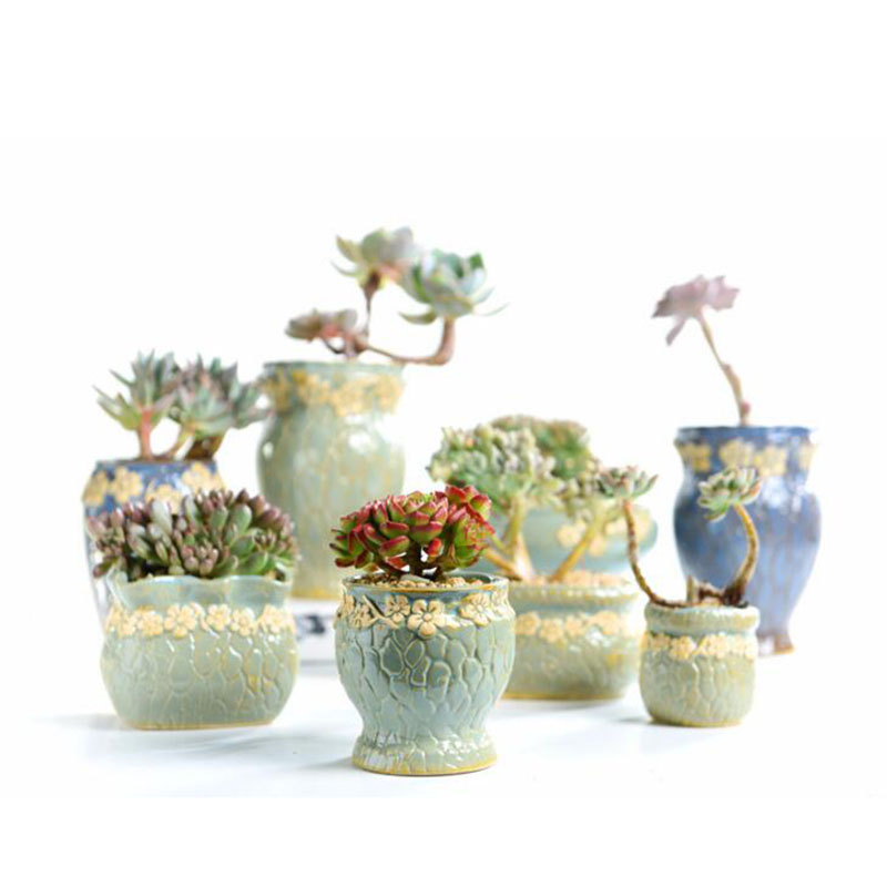 Succulent Plants Flowerpot Sma - огляд і ціна Echeveria Succulent