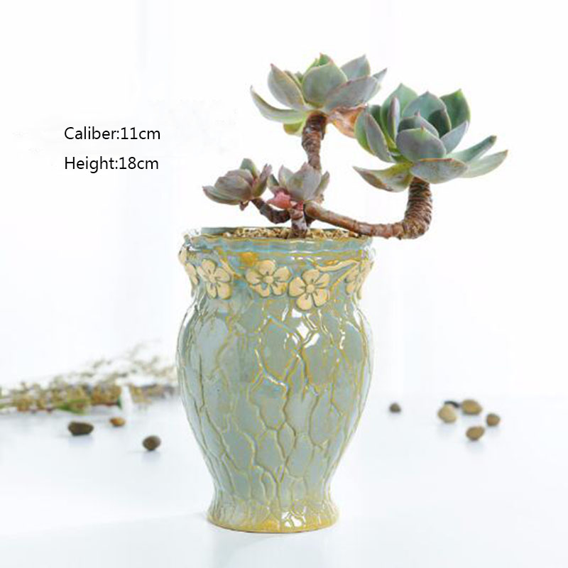 Succulent Plants Flowerpot Sma - огляд і ціна Echeveria Succulent